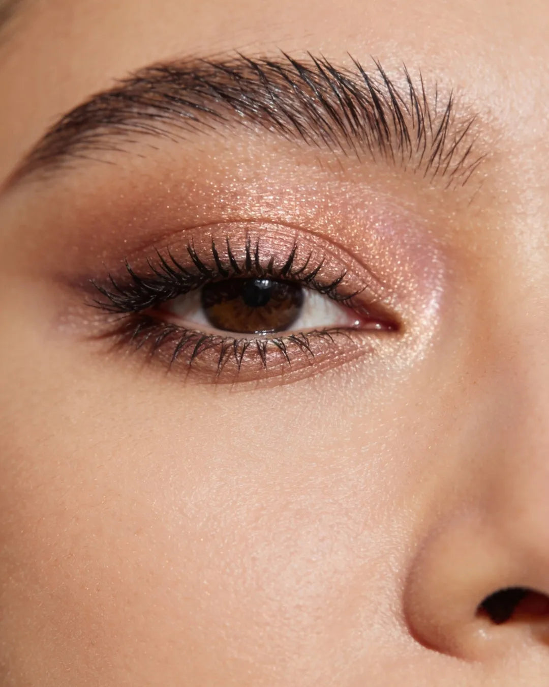 Lashes & Brows Image
