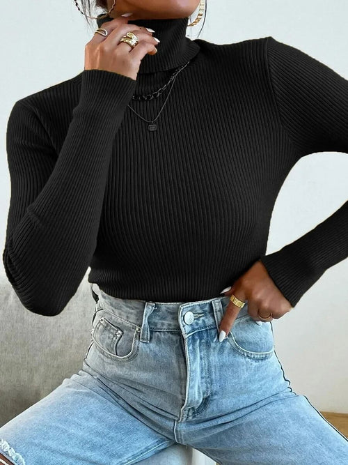 Pull Col Roulé en Maille Côtelée Elanice