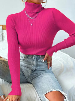 Pull Col Roulé en Maille Côtelée Elanice - Rose / 34